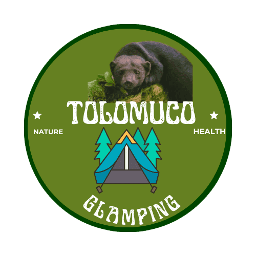 Tolomuco Glamping tents in Sarapiqu�, Costa Rica